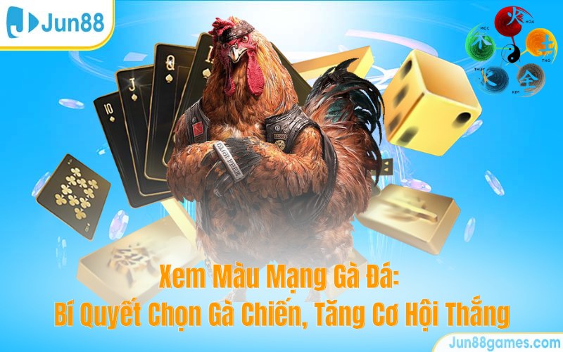 Xem Màu Mạng Gà Đá